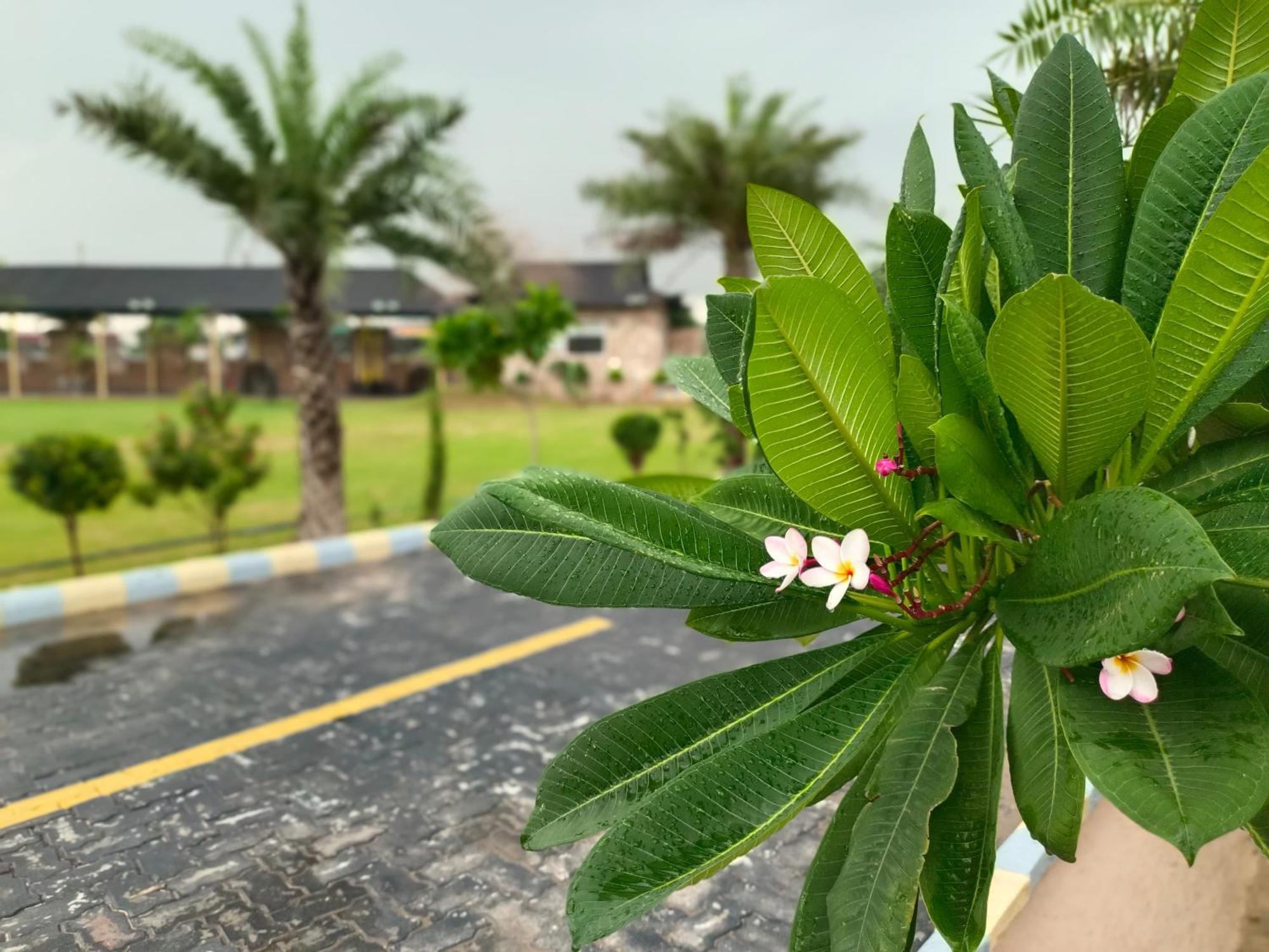 Royal Rajasthan Resort Sikar Екстериор снимка